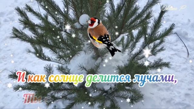 С Добрым Утром и Хорошим Днём! Что бы день успешным был! Красивое Музыкальное Пожелание Доброе Утро