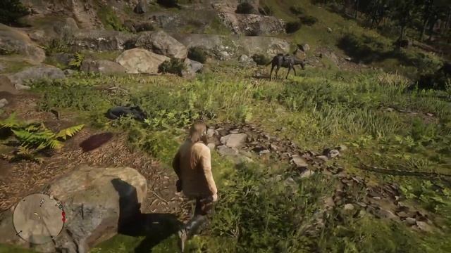 44 Как Артур остался один ищем банду 5 глава Red Dead Redemption 2