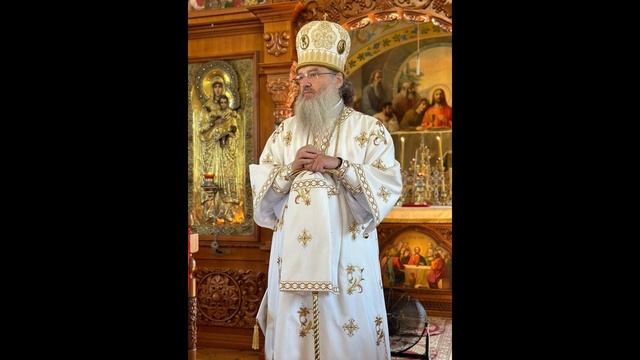 Митрополит Лука "В последнее время очень много говоря? смотреть онлайн