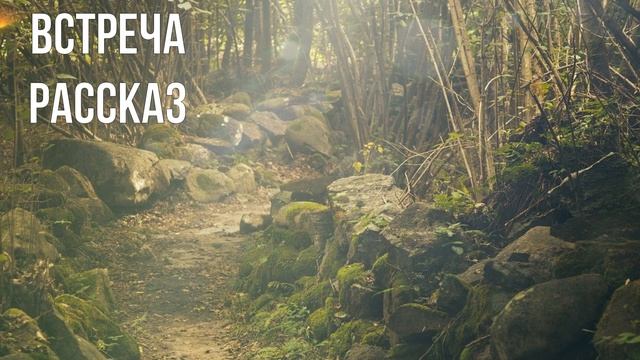 Встреча - интересные истории. | Слушать рассказы смотреть онлайн