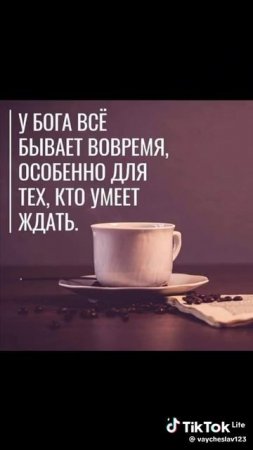Всё вовремя