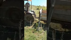 самодельный трактор на базе газ 66, ваз-2101, зил-130