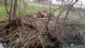 Пьяная деревня