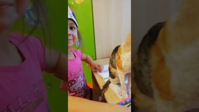 Забавная кошка/Приколы с животными/Как Диана делает уроки/Кошка мешает делать уроки/КорнишРекс