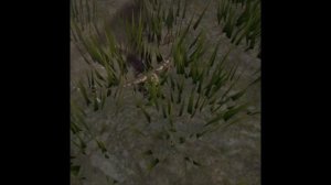 эдит the cursed isle