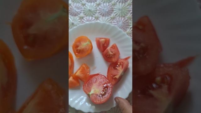 Дегустация томатов (гибриды):"Золотая канарейка","Розо? смотреть онлайн