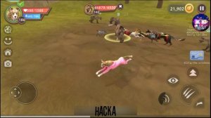 Сундуки. Охота за боссами. Приколы🤣 •|wildcraft|•