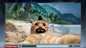 Интернет-обзор: всем привет, я Джонни Кэтсвилл