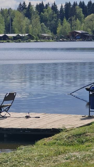 Сом смотреть онлайн