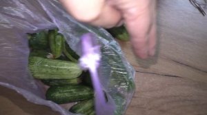 Помутнели банки с огурцами и кабачками, реанимирую. Пе