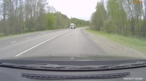 Утка с утятами