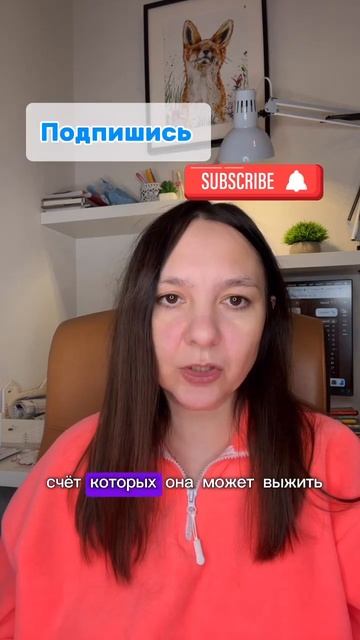 Бесплодие по Гнм #психология #гнм #германскаяноваямедицина #психосоматикаболезней
