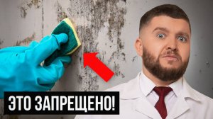 Плесень. Как избавиться?