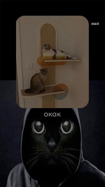 Как вписать кота в интерьер #diskill #интерьердизайн #дизайнинтерьера #школаинтерьердизайна #коты