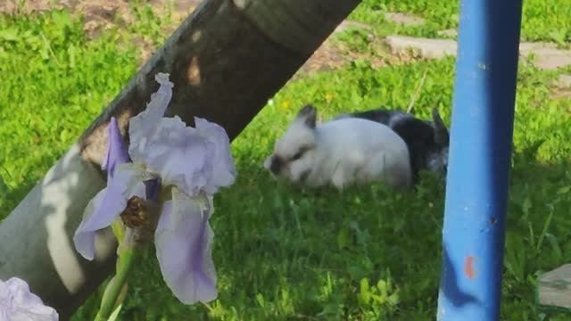 1000018628.mp4