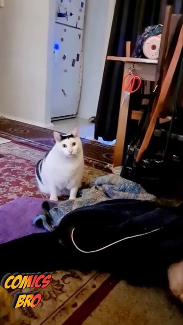 27 сентября 2021 г. смотреть онлайн