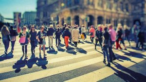 Сиротская слеза