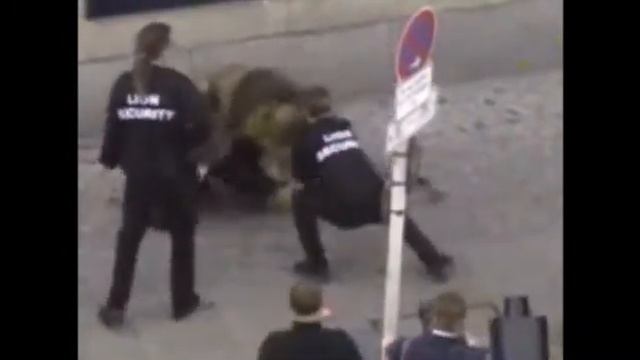 не стоит шутить с хищниками,жесть смотреть онлайн