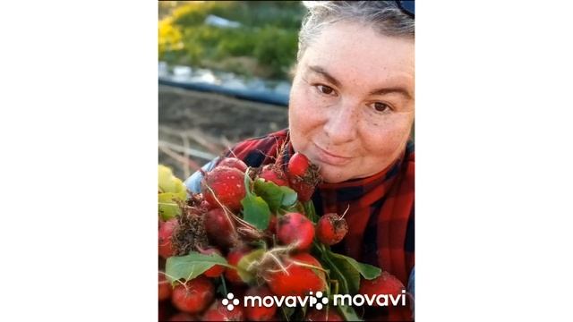 ВНИМАНИЕ!!! ОВОЩНАЯ КОРЗИНА √ 7 ПРОФИ РЕДИС // ВАЦАП ДЛЯ смотреть онлайн