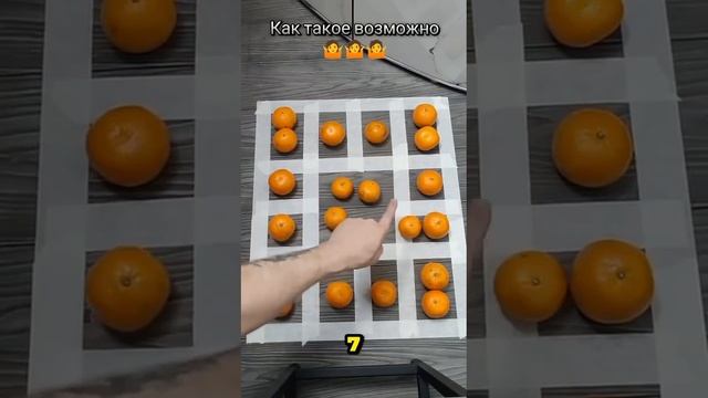 СценАРИЯ iQ