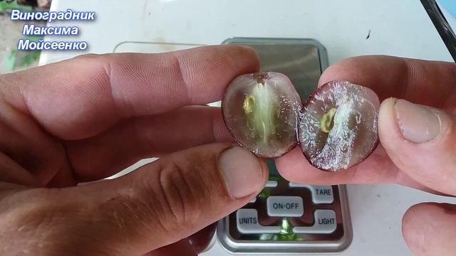 ПАМЯТИ УЧИТЕЛЯ смотреть онлайн