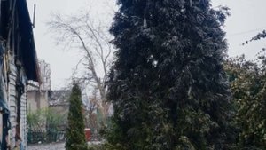 Российские штурмовики