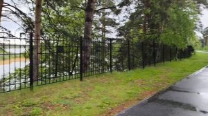 Прогулка по парку ,, Гилевская роща".