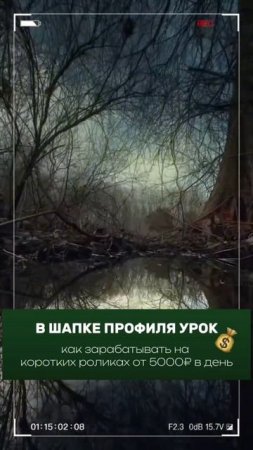Мечты сбываеются, если за них бороться