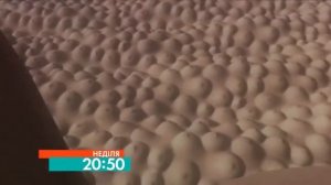 Сорокодневка