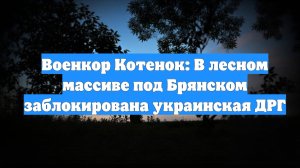 Военкор Котенок: В лесном массиве под Брянском заблокирована украинская ДРГ