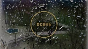 видеофутаж осенний дождь