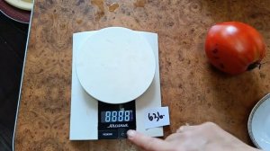 Минусинский сахарный