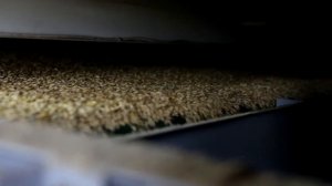 Зерносушилка Агрохит-5 в работающем хозяйстве