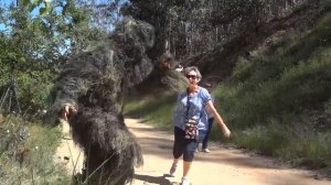 Пранк над людьми. Обезьяна пранк/испуги людей.