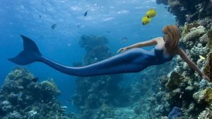 СУВ ПАРИЛАРИ ХАКИДА ТАРИХ СУЗЛАЙДИ. ТЕЗ КУРИНГ....