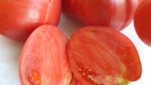 Томаты: Улыбка сандры, Фавориты 4 и 5, Фиол. из Кабреры, Ф