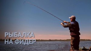 Рыбалка на реке. Поклёвки на фидер. Фидер 2025