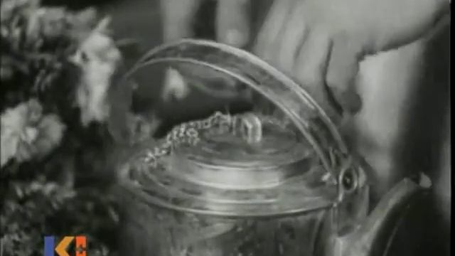 Частная жизнь Петра Виноградова. Я тебя очень люблю, н? смотреть онлайн