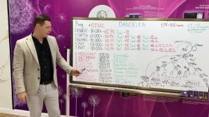 Маркетинг план DANDELION. ЕВГЕНИЙ ИСАЕВ