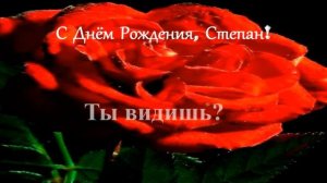 Смешное поздравление. С Днём рождения, Степан!