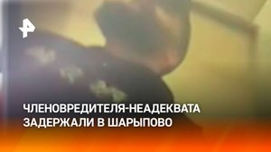 Сломавшего руку женщине неадеквата, устроившего дебош в ГРЭС, задержали в Шарыпово