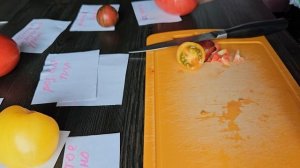 Самые вкусные сорта томатов. Дегустация.