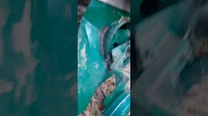 Расширение подборщика на ПРФ - 145