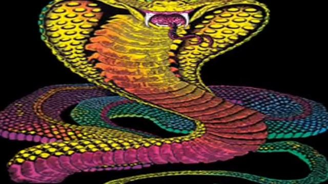 ЗМЕЯ. Осторожно: год ЗМЕИ!.wmv смотреть онлайн