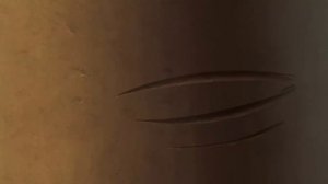 Мультик для детей ЕГИПТУС  1 серия  Последний фараон