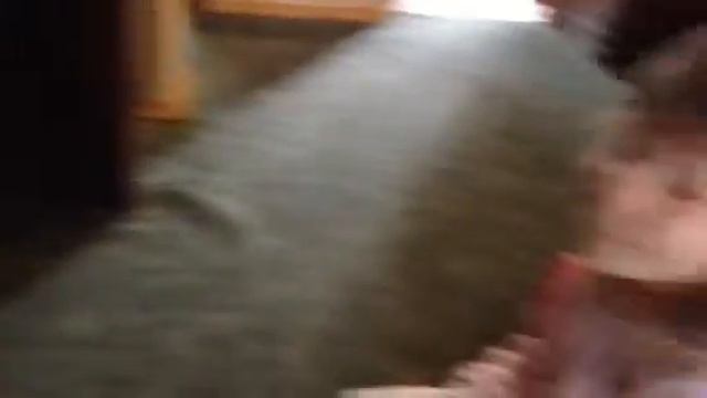 Малышка обожает австрийский балет. смотреть онлайн