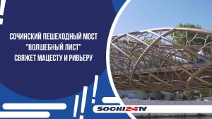 Сочинский пешеходный мост «Волшебный лист» свяжет Мацесту и Ривьеру