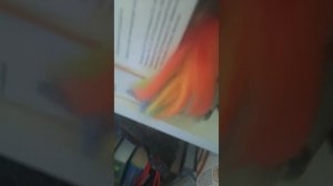 2 сезон 29 серия воздушное похищение