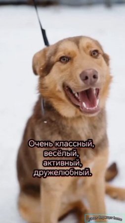 Не грусти