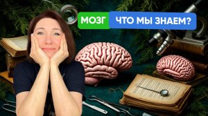 😲 Оказывается, всё это время ты неправильно учил строение мозга! 5 секретов для ЕГЭ по биологии!
